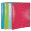 Picture of PASTA ARQUIVO A4 EXACOMPTA L15 4ARGOLAS SORTIDO 51220ET